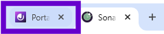 Portal browser tab.png